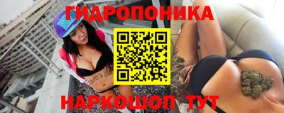альфа пвп Аргун
