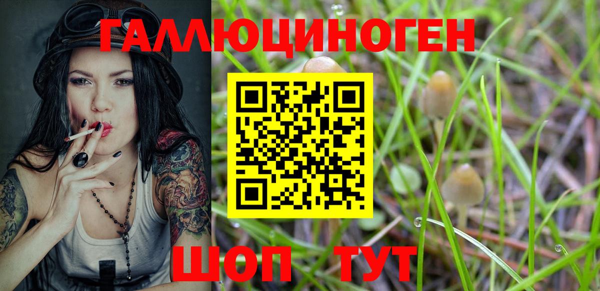 где найти наркотики  Галлюциногенные грибы Cubensis  Вход с VPN  Владивосток 